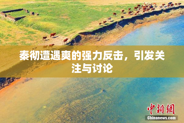 秦彻遭遇爽的强力反击，引发关注与讨论