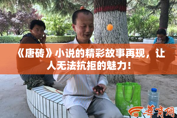 《唐砖》小说的精彩故事再现，让人无法抗拒的魅力！