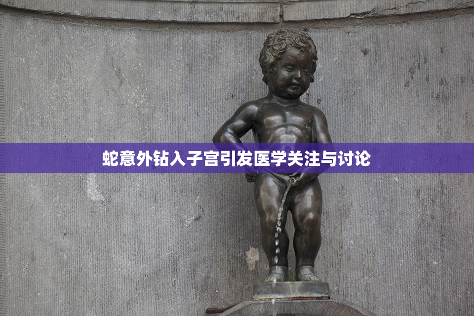 蛇意外钻入子宫引发医学关注与讨论