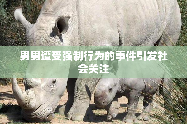 男男遭受强制行为的事件引发社会关注