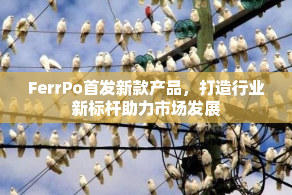 FerrPo首发新款产品，打造行业新标杆助力市场发展