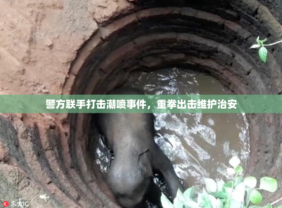 警方联手打击潮喷事件，重拳出击维护治安