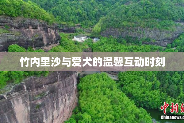 竹内里沙与爱犬的温馨互动时刻