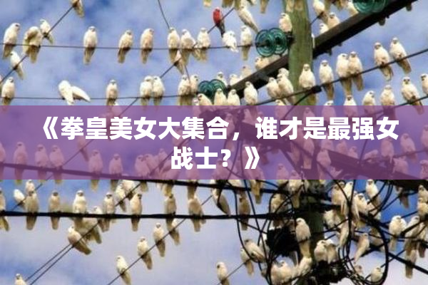 《拳皇美女大集合，谁才是最强女战士？》