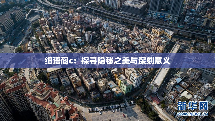 细语阁c：探寻隐秘之美与深刻意义