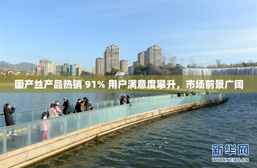 国产丝产品热销 91% 用户满意度攀升，市场前景广阔