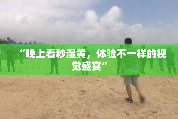 “晚上看秒湿黄，体验不一样的视觉盛宴”