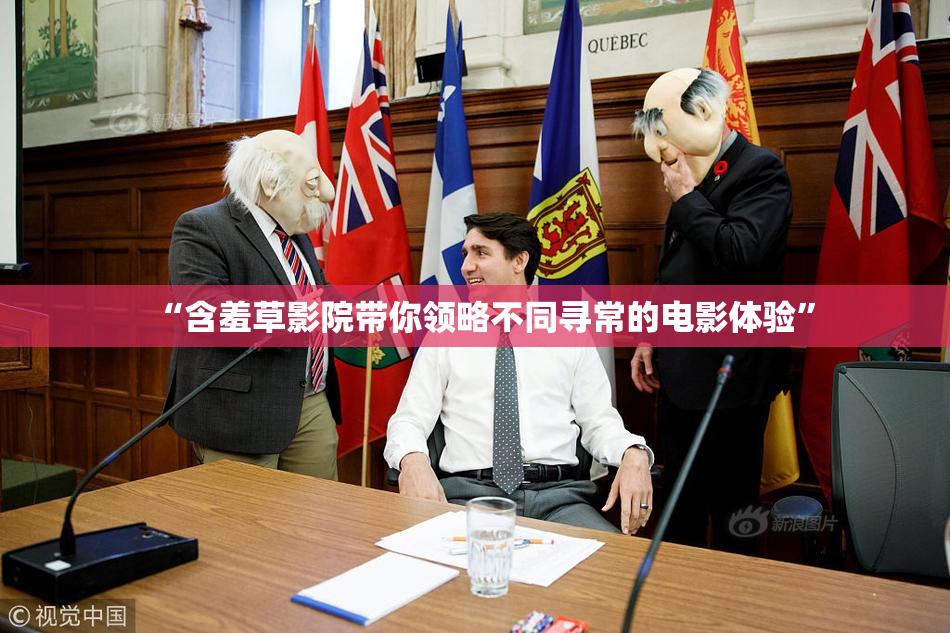 “含羞草影院带你领略不同寻常的电影体验”