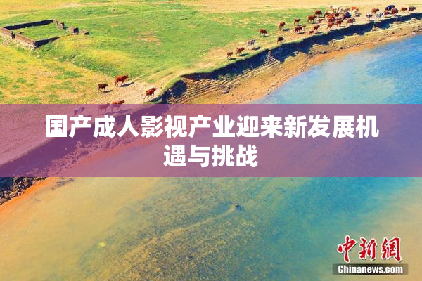 国产成人影视产业迎来新发展机遇与挑战