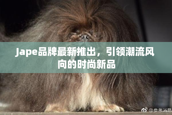 Jape品牌最新推出，引领潮流风向的时尚新品