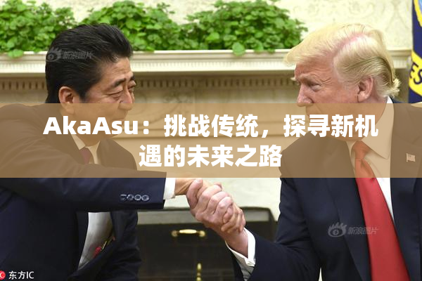 AkaAsu：挑战传统，探寻新机遇的未来之路