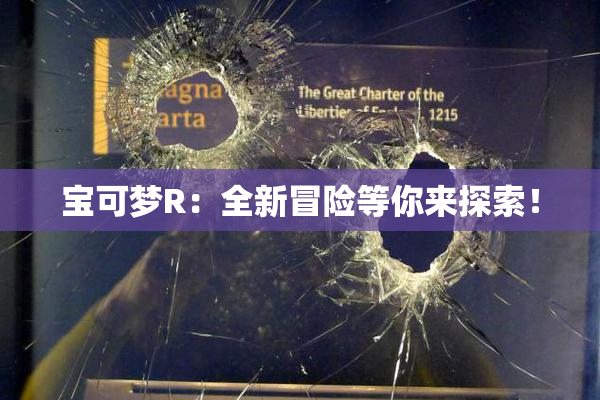宝可梦R：全新冒险等你来探索！