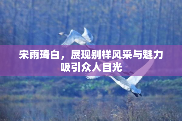 宋雨琦白，展现别样风采与魅力吸引众人目光