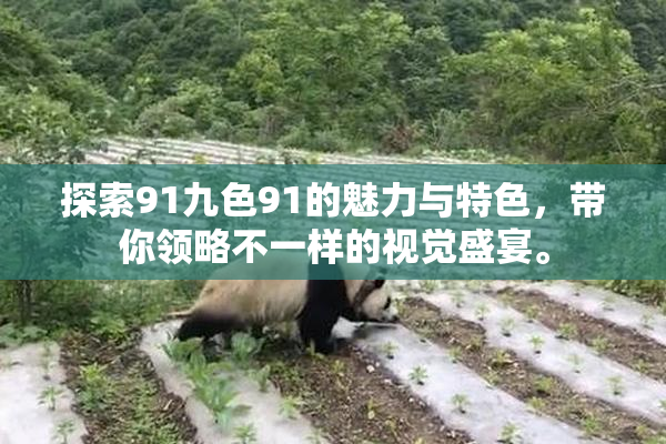 探索91九色91的魅力与特色，带你领略不一样的视觉盛宴。