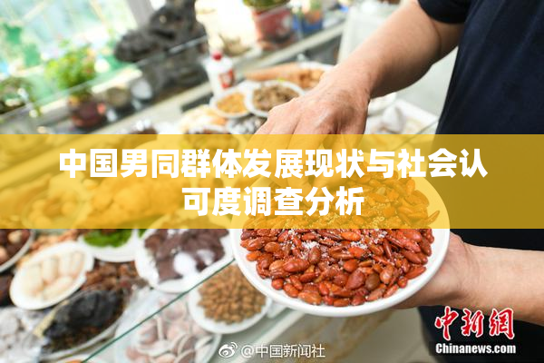 中国男同群体发展现状与社会认可度调查分析
