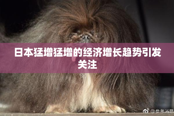 日本猛增猛增的经济增长趋势引发关注