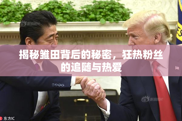 揭秘雏田背后的秘密，狂热粉丝的追随与热爱