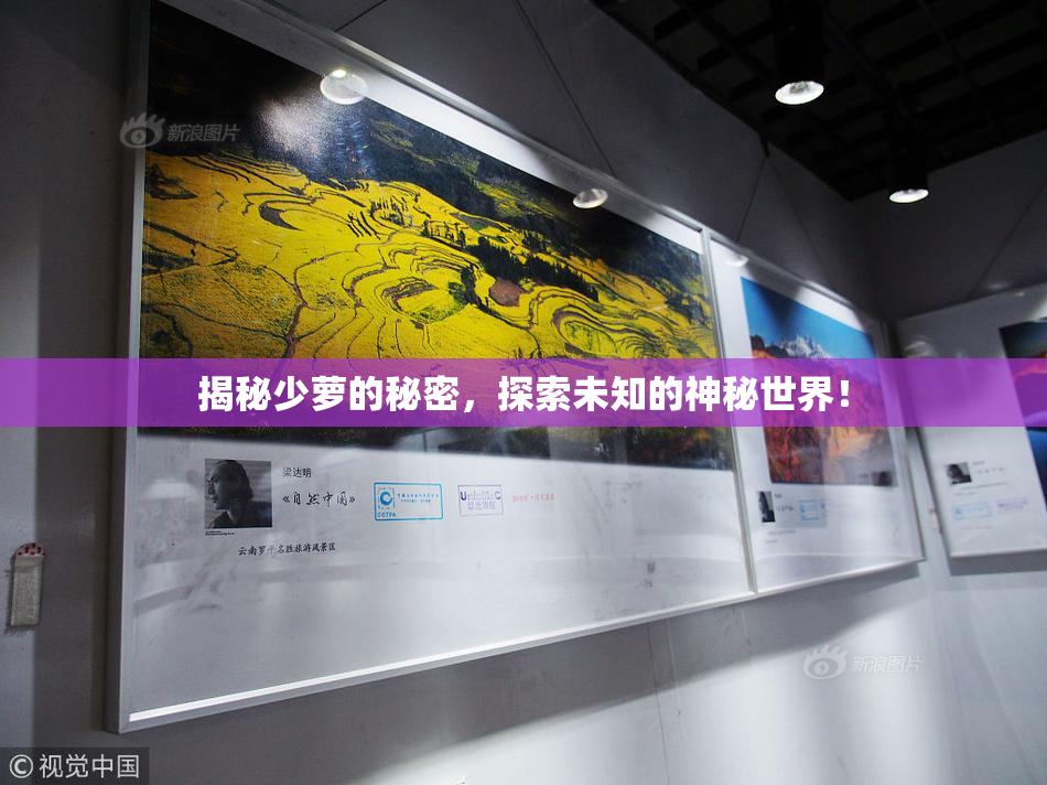 揭秘少萝的秘密，探索未知的神秘世界！