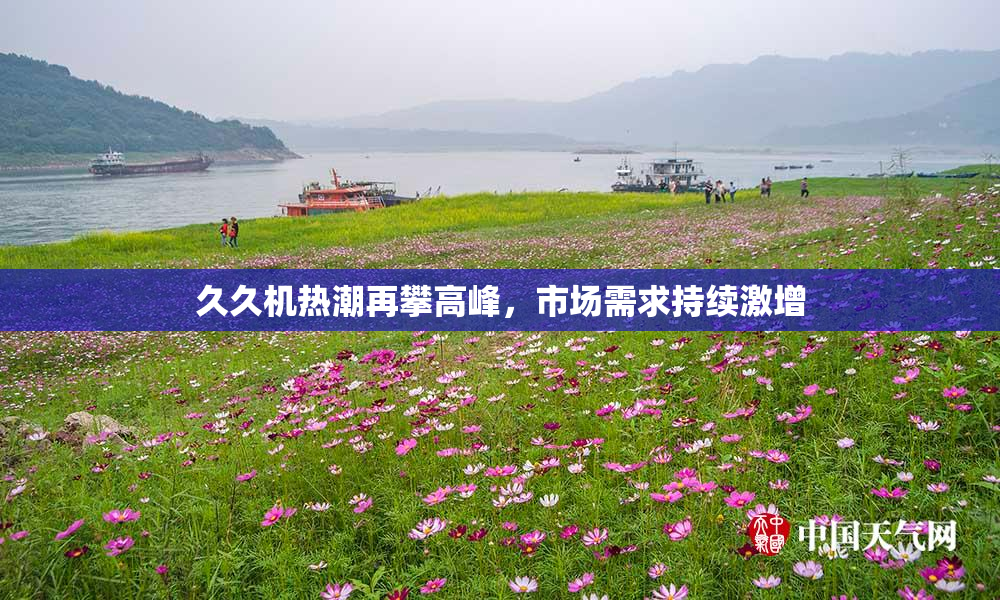久久机热潮再攀高峰，市场需求持续激增