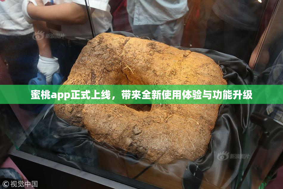蜜桃app正式上线，带来全新使用体验与功能升级