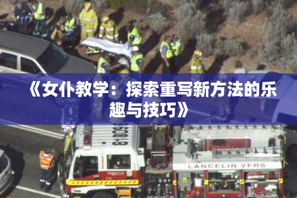 《女仆教学：探索重写新方法的乐趣与技巧》
