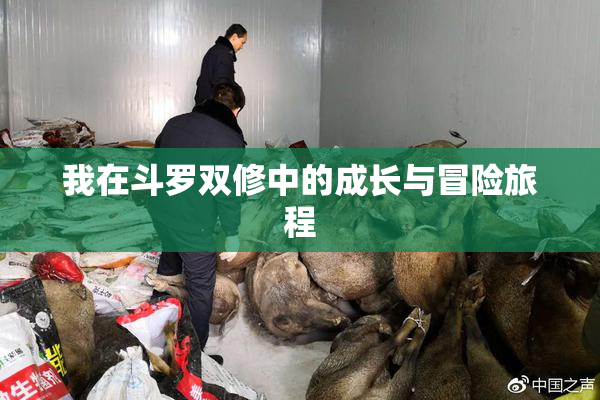 我在斗罗双修中的成长与冒险旅程