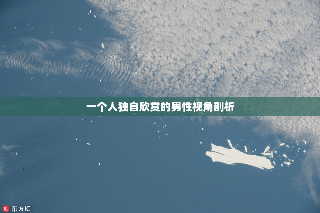 一个人独自欣赏的男性视角剖析