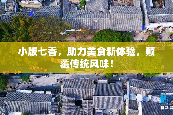 小版七香，助力美食新体验，颠覆传统风味！