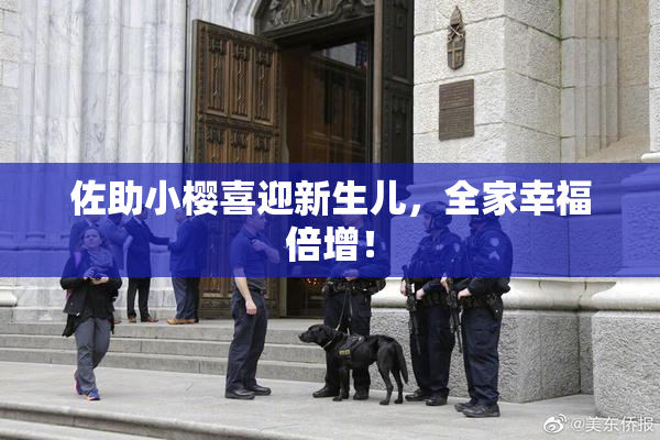 佐助小樱喜迎新生儿，全家幸福倍增！