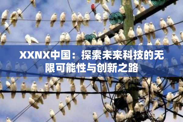 XXNX中国：探索未来科技的无限可能性与创新之路