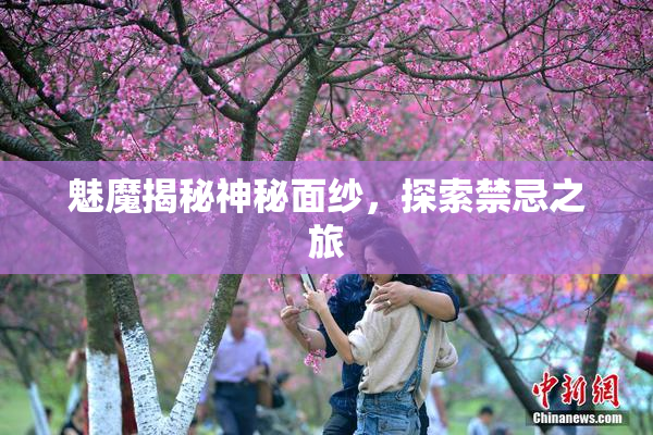魅魔揭秘神秘面纱，探索禁忌之旅
