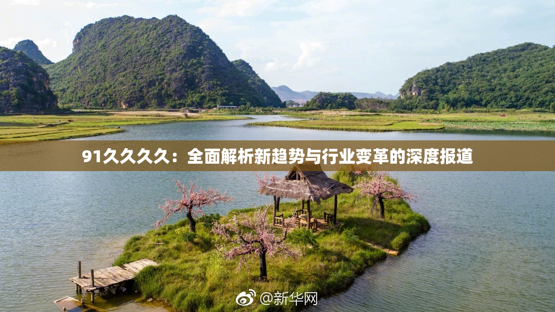 91久久久久：全面解析新趋势与行业变革的深度报道