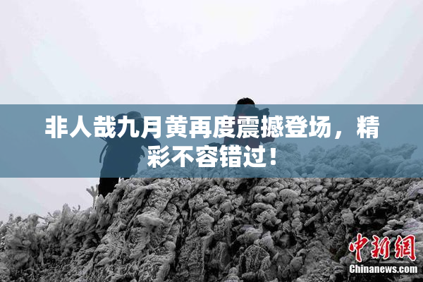 非人哉九月黄再度震撼登场，精彩不容错过！