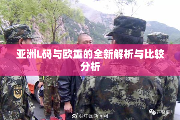 亚洲L码与欧重的全新解析与比较分析