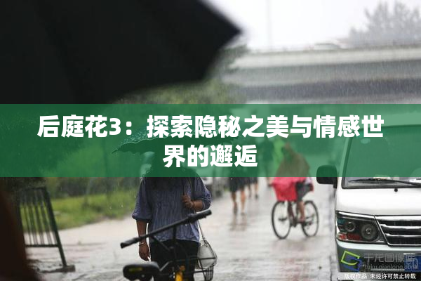 后庭花3：探索隐秘之美与情感世界的邂逅