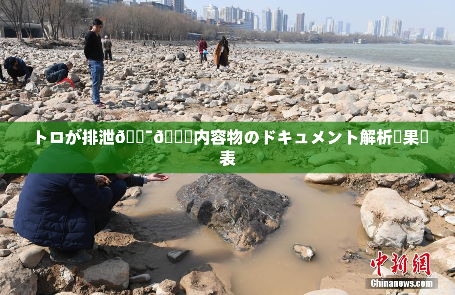 トロが排泄🔯👅内容物のドキュメント解析結果発表