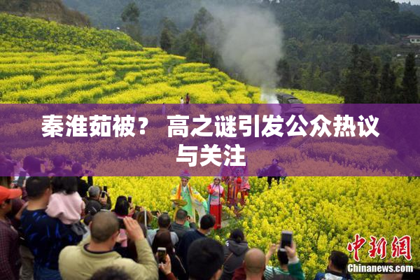 秦淮茹被？ 高之谜引发公众热议与关注