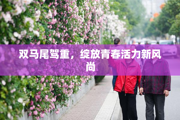 双马尾驾重，绽放青春活力新风尚