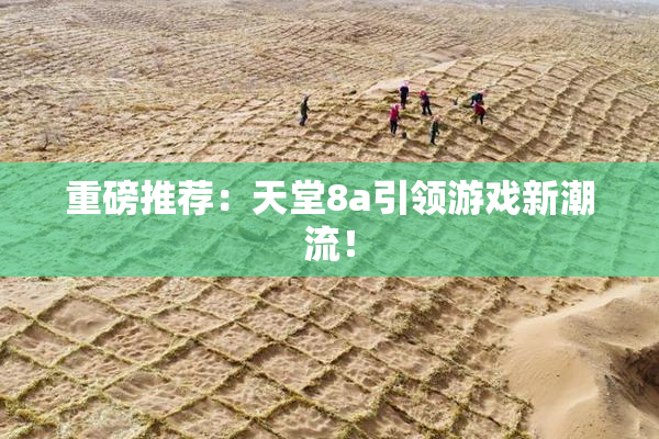 重磅推荐：天堂8a引领游戏新潮流！