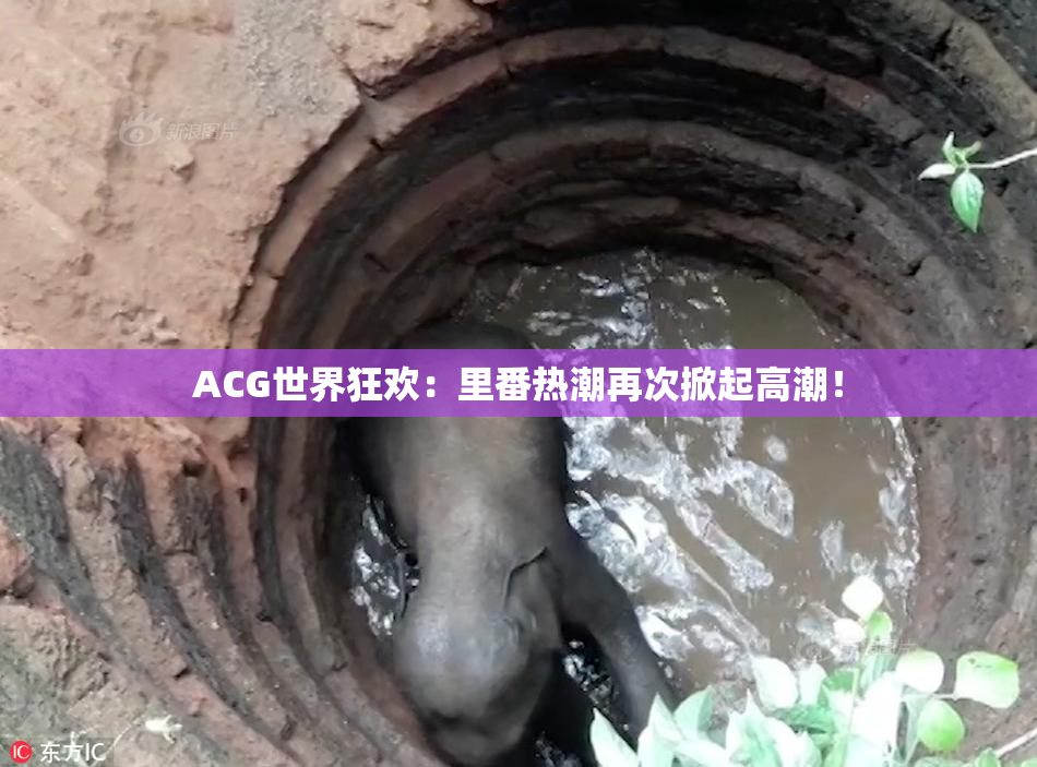 ACG世界狂欢：里番热潮再次掀起高潮！
