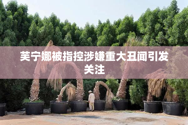 芙宁娜被指控涉嫌重大丑闻引发关注
