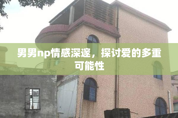男男np情感深邃，探讨爱的多重可能性