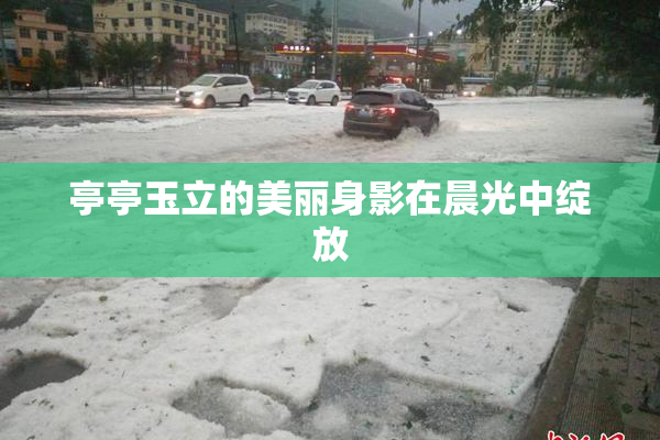 亭亭玉立的美丽身影在晨光中绽放