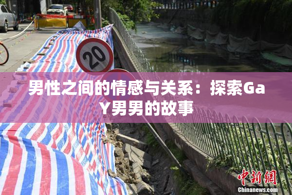 男性之间的情感与关系：探索GaY男男的故事
