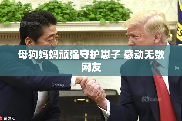 母狗妈妈顽强守护崽子 感动无数网友