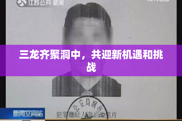 三龙齐聚洞中，共迎新机遇和挑战