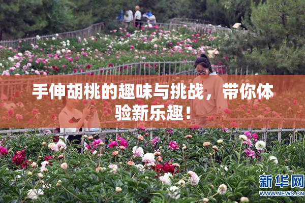 手伸胡桃的趣味与挑战，带你体验新乐趣！