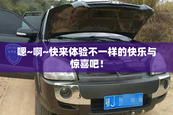 嗯~啊~快来体验不一样的快乐与惊喜吧！