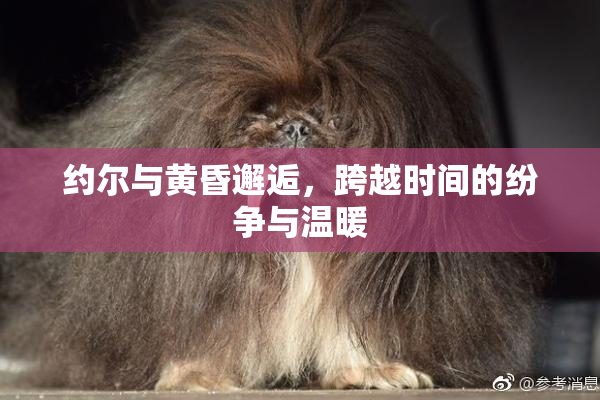 约尔与黄昏邂逅，跨越时间的纷争与温暖