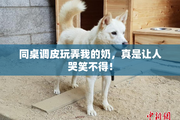 同桌调皮玩弄我的奶，真是让人哭笑不得！